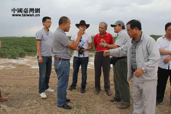 高雄農會參訪團走進兵團現代農業示范園區，在田間地頭里進行農業技術交流