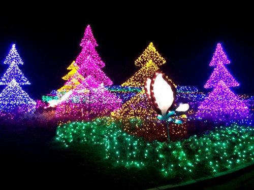 臺灣北海岸展繽紛圣誕燈飾 打造冬日秘密花園