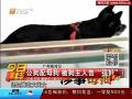公狗“強奸”母狗 母狗主人索賠14萬