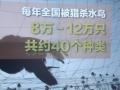 Ƿ؜uҰBF(xin){飺҇ÿsʮfֻˮBC