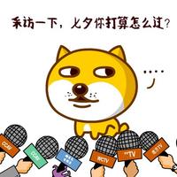 ²۴زײr800f  W@@ʯ肵İɣ
