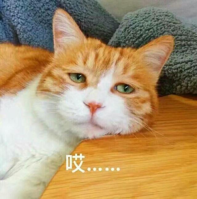 ²۴_ҪŮѡlϴ^áWR